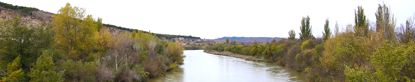 río_Arga_alta_SMS